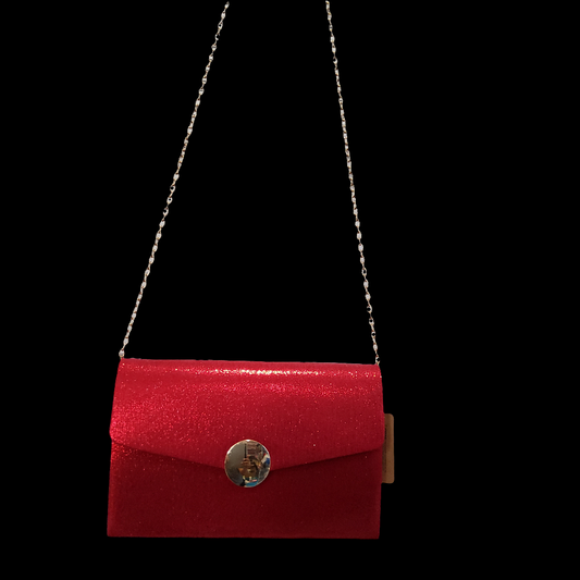 Bolso de Mano / Clutch Metálico