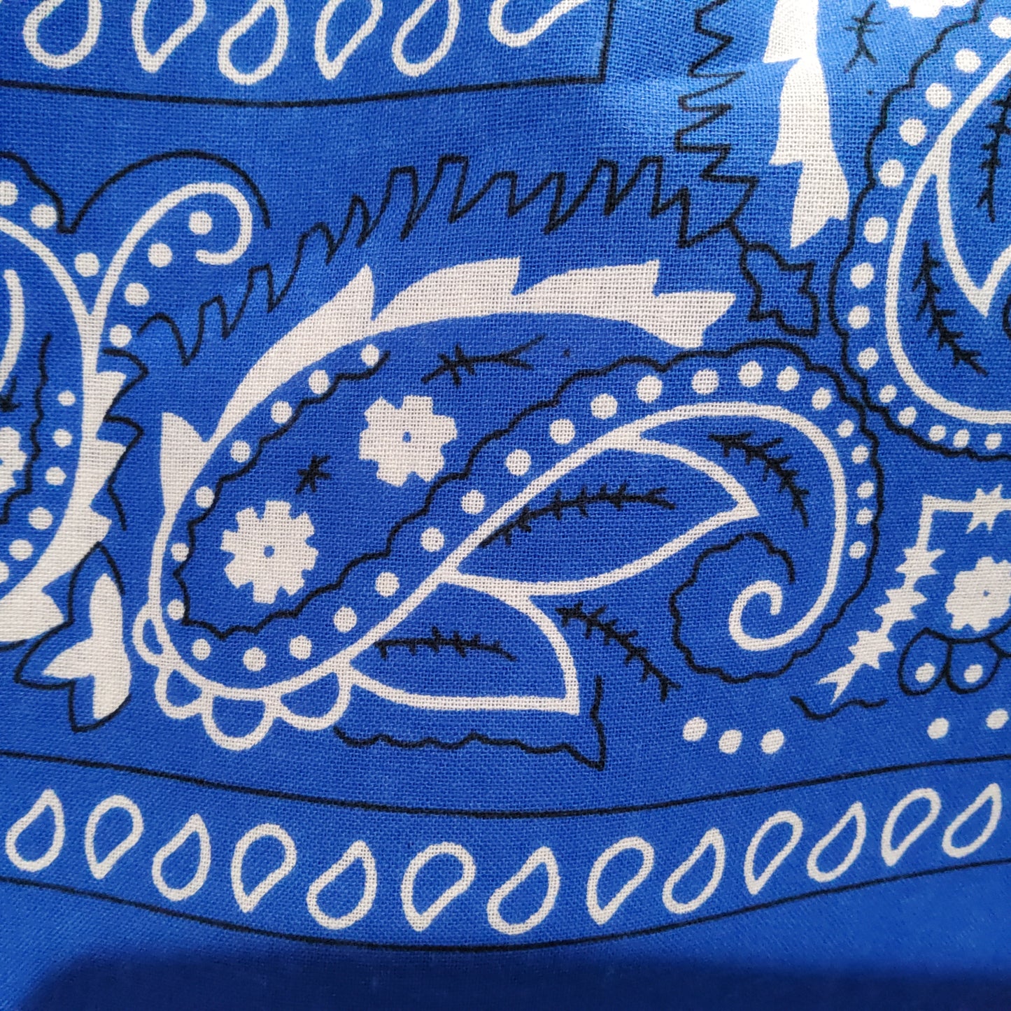PAÑOS DE COLORES.