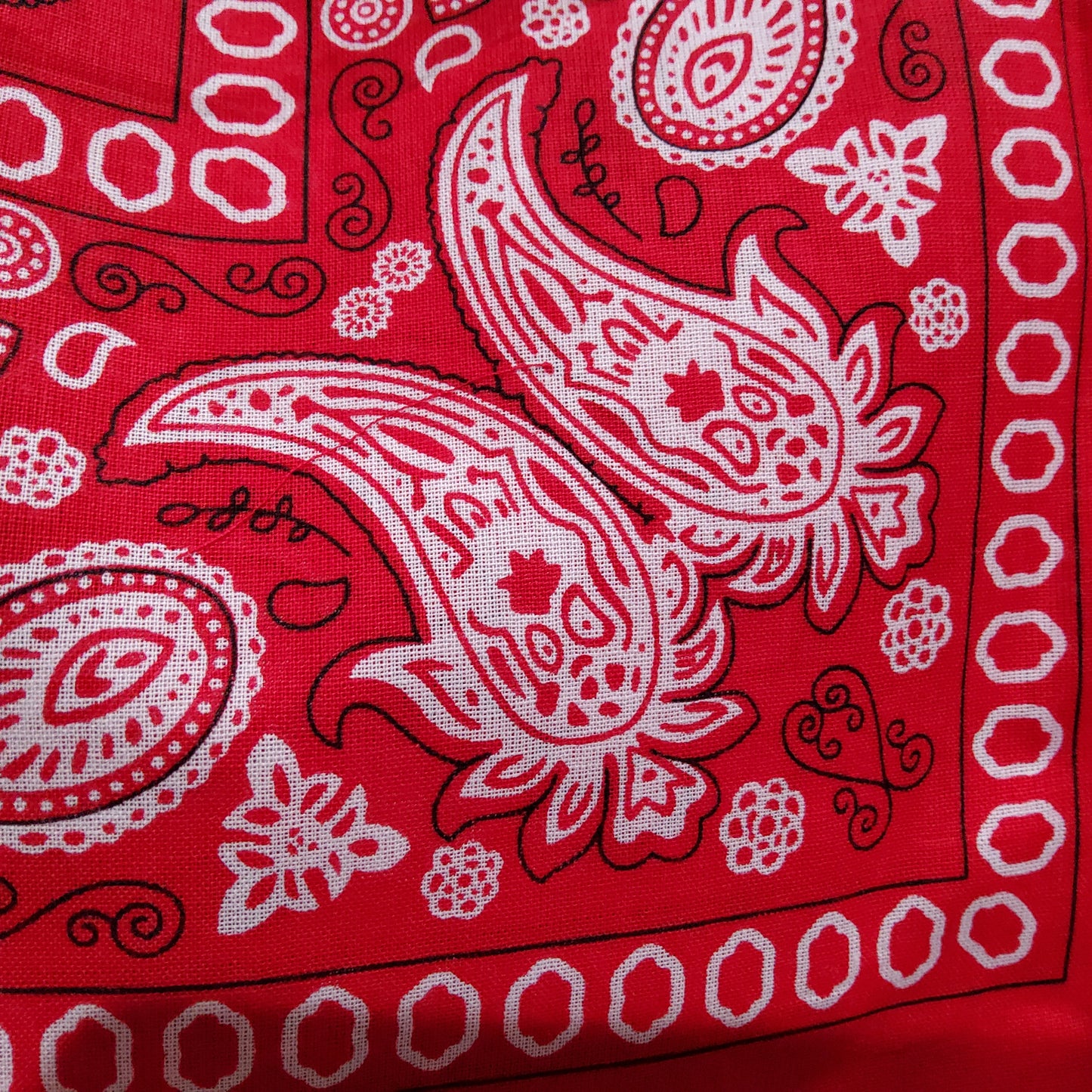 PAÑOS DE COLORES.