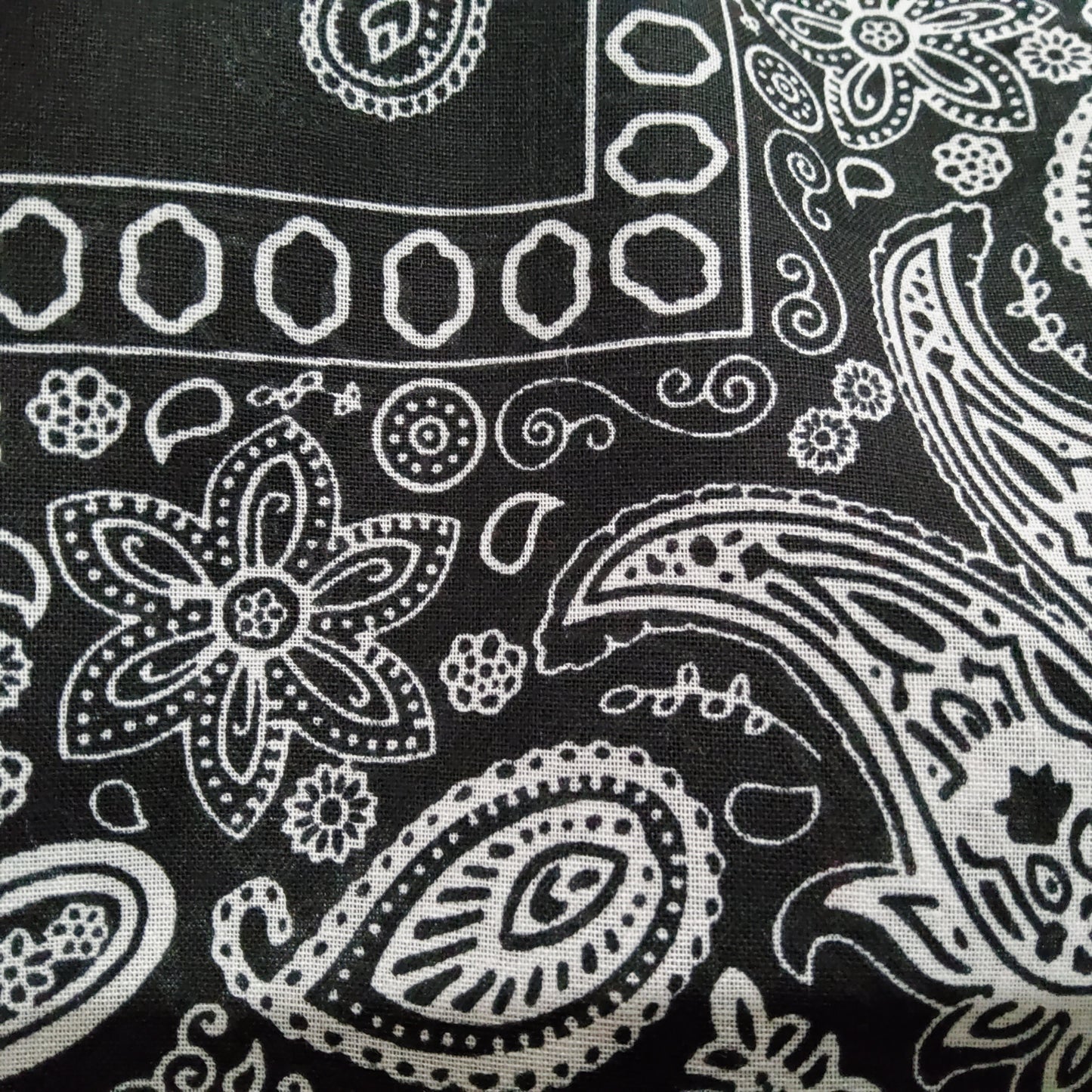 PAÑOS DE COLORES.